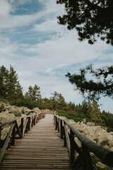 Fototapeta premium wooden bridge over the river