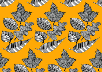 Pattern of leaves of different trees. Drawn with different lines in doodle style. The leaves are black and white. The background is orange. Willow, oak, maple and other leaves. Delicate thin strokes.