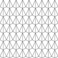 Fototapeta premium Luxury Geometric Design Pattern Texture Background