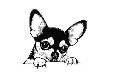 Chihuahua's Innocent Glance: A Sweet Vector Portrait of a Pup Secretly Peeking