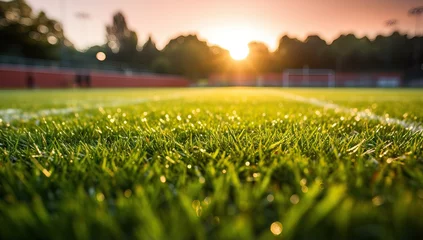 Schilderijen op glas soccer field with grass and sunset. © Meow Creations