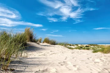 Foto op Canvas Dunes on the island of Borkum, Germany © EKH-Pictures