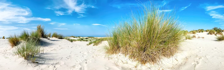 Fototapete Rund Dunes on the island of Borkum, Germany © EKH-Pictures