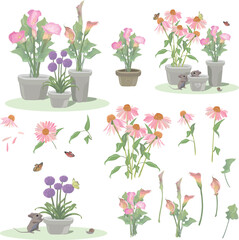 set of elements and illustrations with pink and purple flowers. echinacea, calla, allium, mouse, butterfly, snail