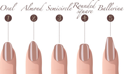 The shape of nails and their names for a good manicure