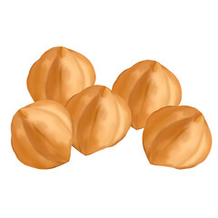 Hazelnut hand draw and paint on png file for decoration and online advertising 