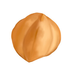 Hazelnut hand draw and paint on png file for decoration and online advertising 