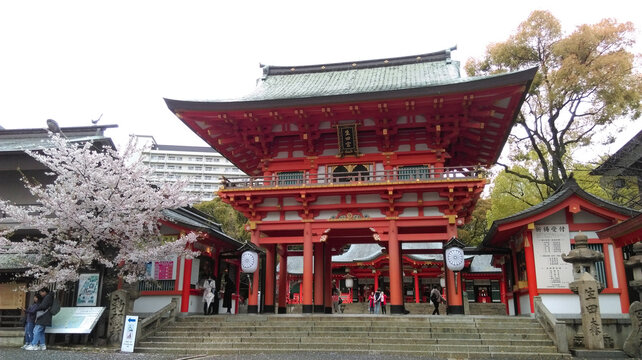 After the rain at Torii of Ikuta Shrine, Kobe, Japan