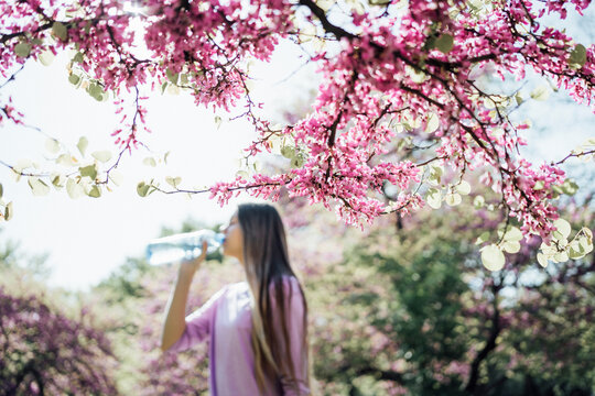 Pink flowering tree branch with teenage girl drinking water in background