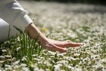 Close-up of teenage girl touching daisy flowerbed on field