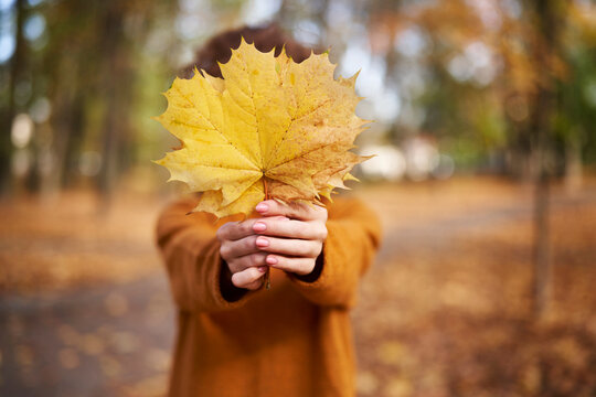 Woman holding maple leaf in front of face at autumn park