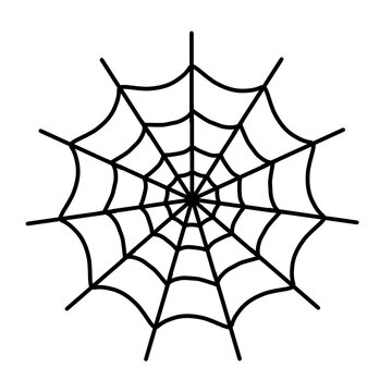 Spider Web_2