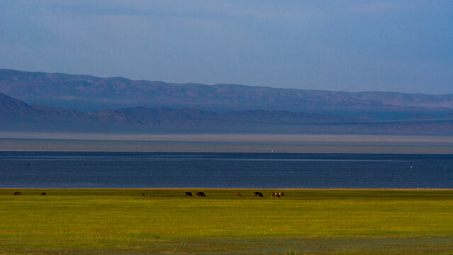Buuntsagaan lake
B&ouml;&ouml;n Tsagaan Lake is a large saline lake in Bayakhongor province in the Gobi Desert of southern Mongolia. B&ouml;&ouml;n Tsagaan Lake and the nearby Taatsiin Tsagaan Lake, Adgiin Tsagaan Lake, 