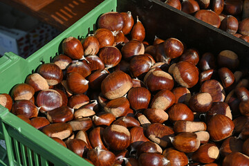 Kastanien auf dem Gemüsemarkt in Luzern, Schweiz