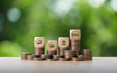 wooden cubes on the coin with icons ESG and finance for ESG environment social governance...