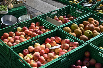 Äpfel auf dem Gemüsemarkt in Luzern, Schweiz