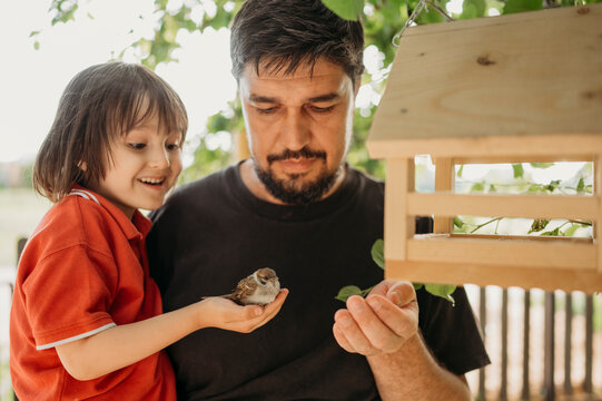 Excited son holding sparrow near birdhouse