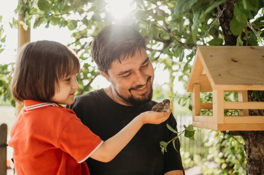 Caring son holding sparrow near birdhouse