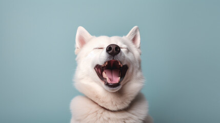 Portrait of a laughing dog - obrazy, fototapety, plakaty