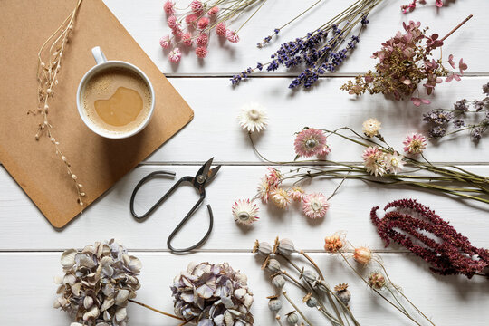 Cup of coffee, scissors and different kinds of dried flowers lying on white painted wood