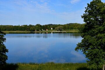 A close up on the coast of a vast river, lake, or pond covered from all sides with reeds and lush forests or moors located next to a holiday resort seen on a cloudy summer day in Poland