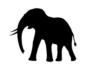 Silhouette of an Elephant. Vector Illustration Design