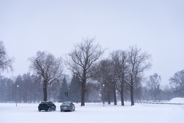 Two cars parked next to a park during snowstorm, winter scene, copy space.