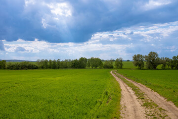Spring landscape, pathway with cloudy sky