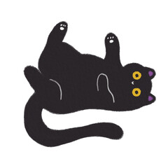 Luna the black cat hand drawn illustration 