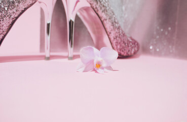 Orchid flower with fancy glitter shoe on light pink background