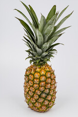 Fototapeta premium fresh pineapple fruit against white background