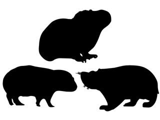 silhouette of a capybara 