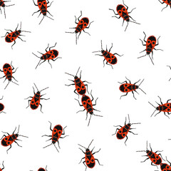 Seamless pattern with bug-soldier or Firebugs isolating on white background. Vector illustration