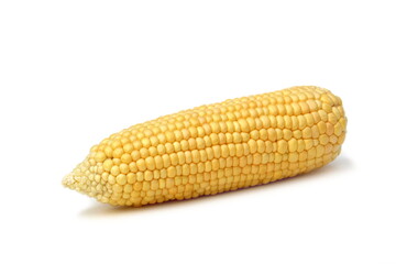 Earned ripe corn lies on a white background.