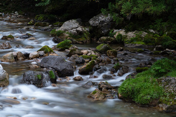 苔の岩と川の流れ