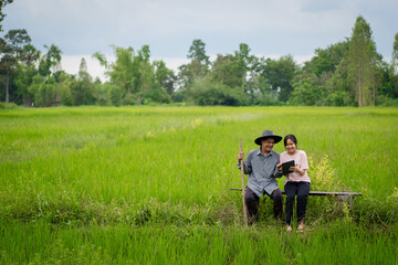 Father and son walking to the rice field, walking along the farm road
