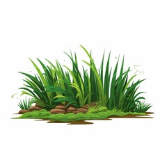 Green grass isolated on white