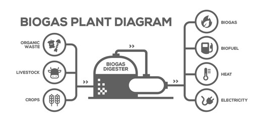 Biogas Plant Diagram. Biogas Production Phases: Illustrated Educational Plan from Farming to Energy - obrazy, fototapety, plakaty