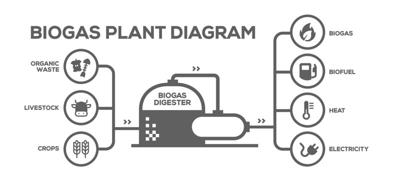 Biogas Plant Diagram. Biogas Production Phases: Illustrated Educational Plan from Farming to Energy