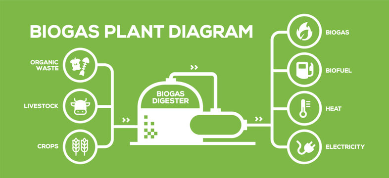 Simple Biogas Plant Diagram. Biogas Production Phases: Illustrated Educational Plan from Farming to Energy