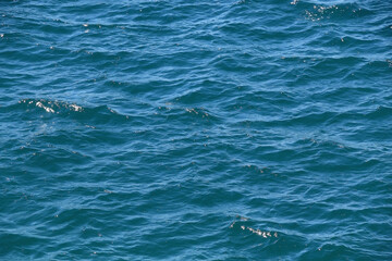 Fototapeta premium Bright blue sea surface, close-up.