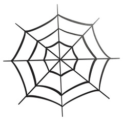 spider and web