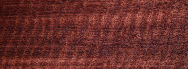 Closeup texture of wooden flooring made of Etimoe Curly Figure