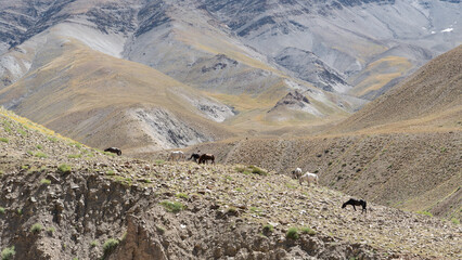 Beautiful mountain wilderness landscape in the Indian Himalayans of Ladakh