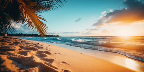 Tropical beach panorama view, coastline with palms, Caribbean sea in sunny day, summer time, turquoise sea or ocean under sky with white clouds. Background of summer beach, white sand coastline.