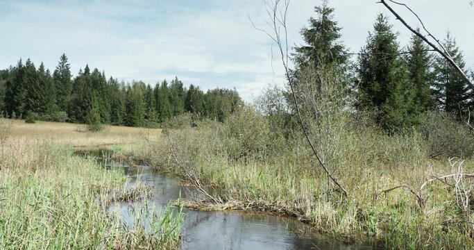 At Kirchsee near Sachsenkam in Upper Bavaria. Nature reserve Ellbach- und Kirchseemoor crossed by the stream Kirchseebach coming from Kaltenbachquelle in Kirchsee-Filz