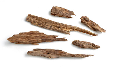Sticks of agar wood or agarwood on white background. The incense chips used by burning for incense & perfumes of essential oil as Oud or Bakhoor 