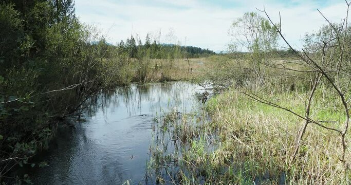 At Kirchsee near Sachsenkam in Upper Bavaria. Nature reserve Ellbach- und Kirchseemoor crossed by the stream Kirchseebach coming from Kaltenbachquelle in Kirchsee-Filz