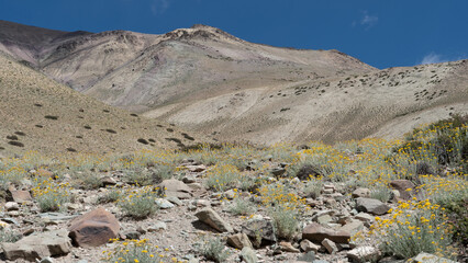 Beautiful mountain wilderness landscape in the Indian Himalayans of Ladakh