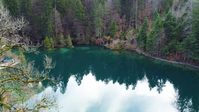 Blausee Forest view in Switzerland 4K Drone shot